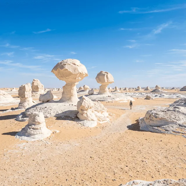 White Desert Temple Run — 8 Days / 7 Nights tour package from India